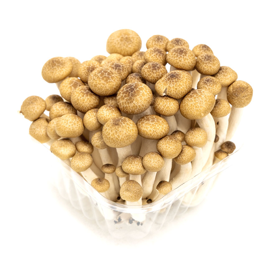 Setas Shimeji marrones bandeja 150 g