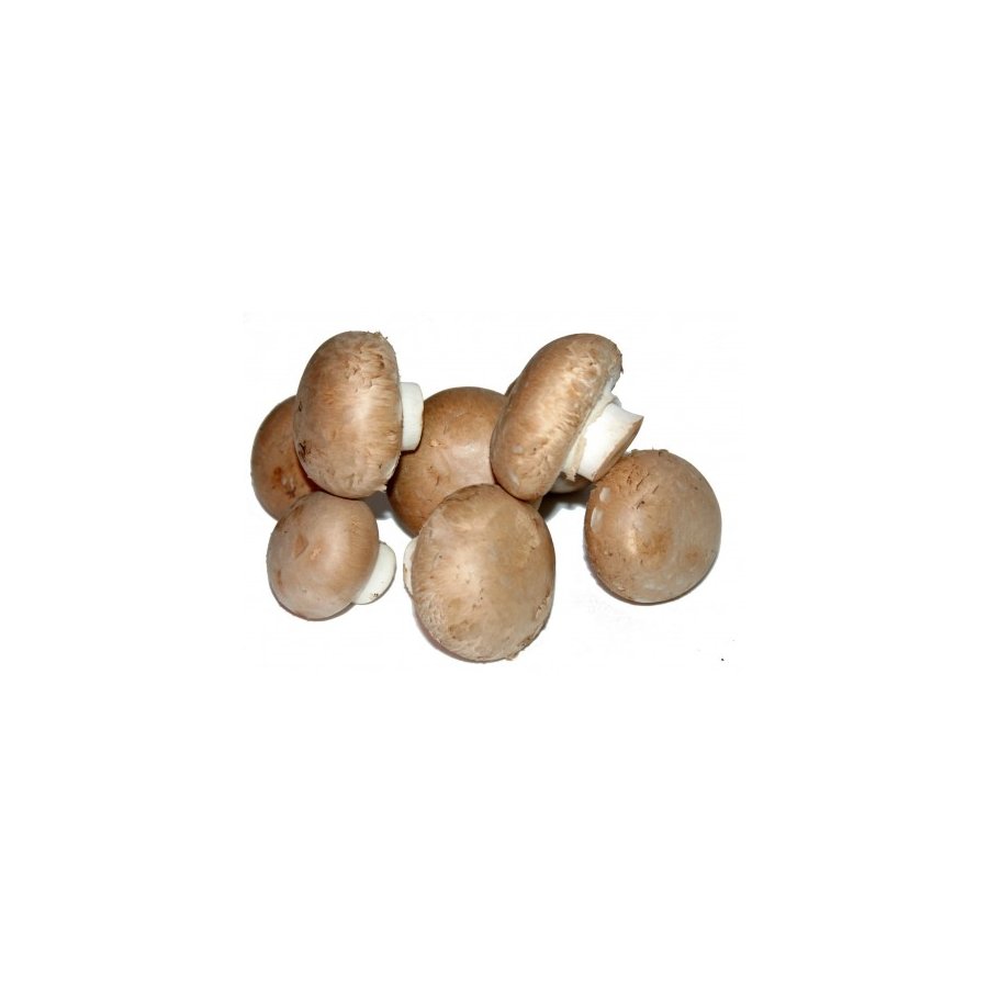 Champiñón Portobello categoría 1ª kilo