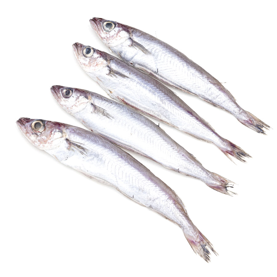 Imagen de Lirio kilo