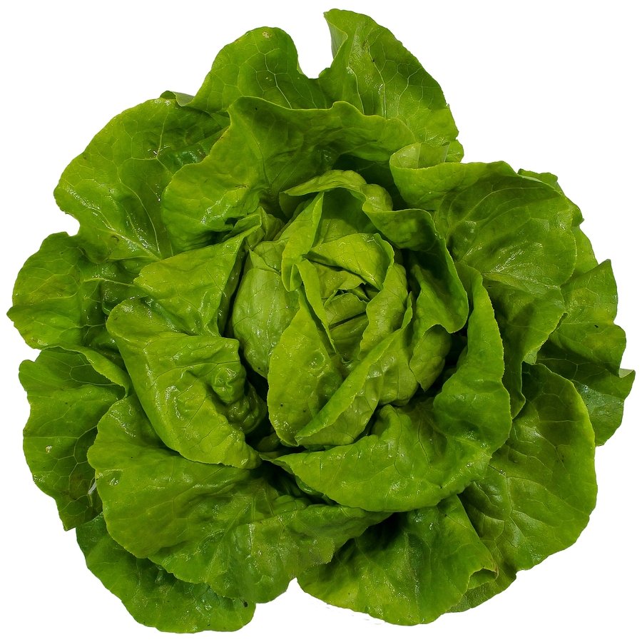 Lechuga lisa categoría 1ª (peso mínimo 200 g) unidad