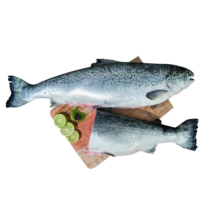 Salmón pequeño (entero o mitades) kilo