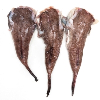 Cola de rapitos kilo