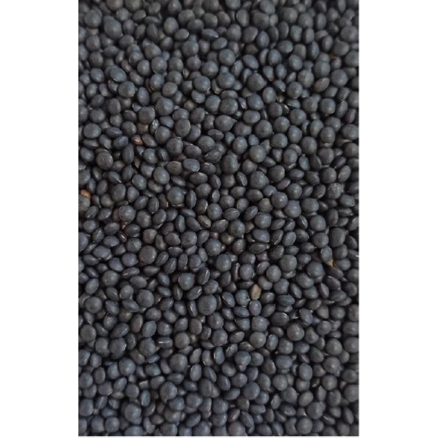 Lentejas caviar extra EL MARAGATO kilo