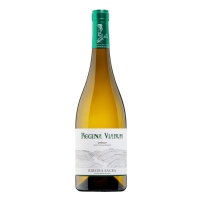 Vino blanco D.O.Ribeira Sacra REGINA VIARUM godello botella 75 cl