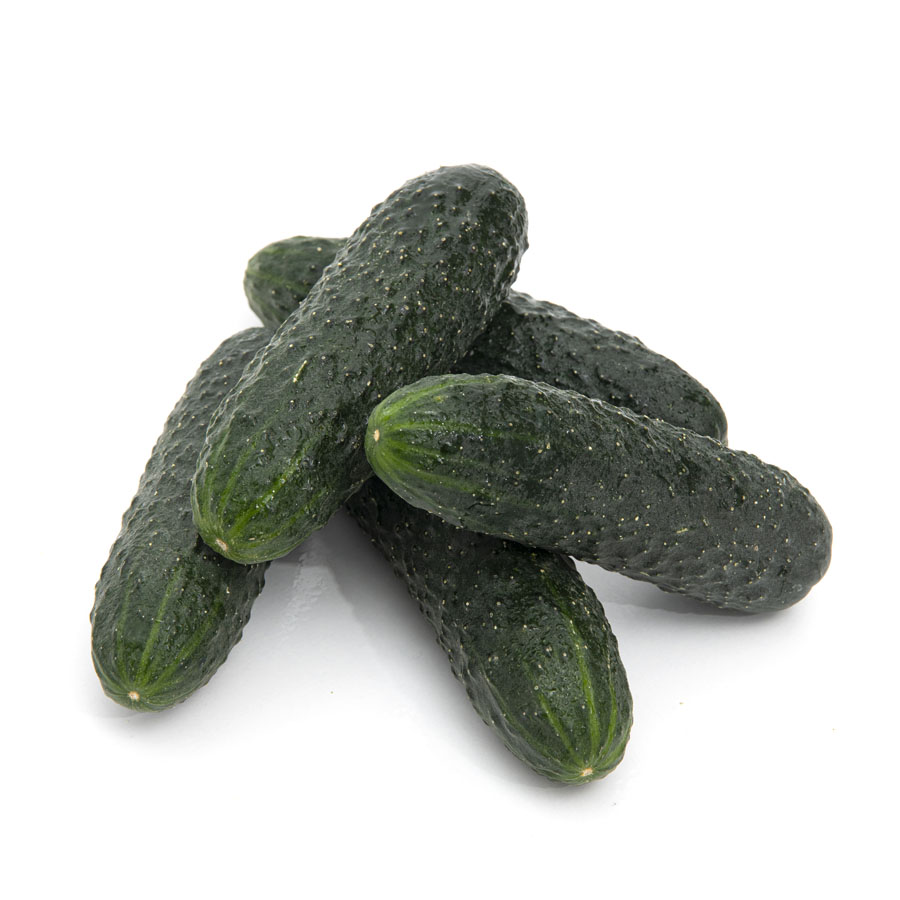 Pepino corto verde calibre 10/18 kilo