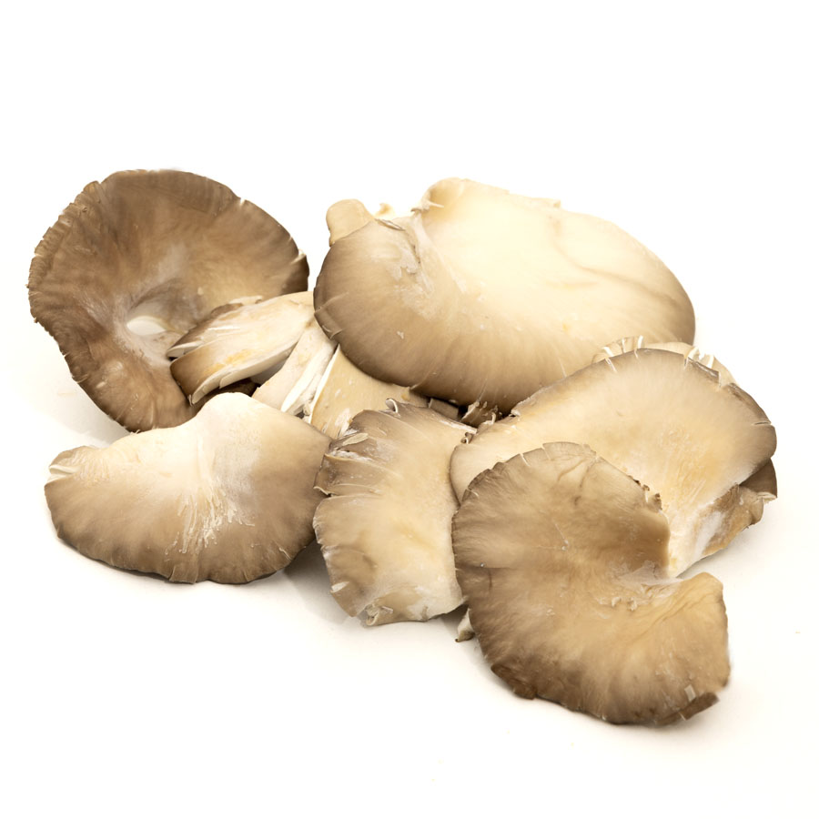 Setas categoría 1ª calibre 60mm+ kilo