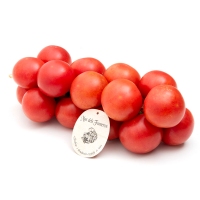 Tomate ramillete especial untar 4/5 ristra (0,8-1,3 kg) kilo