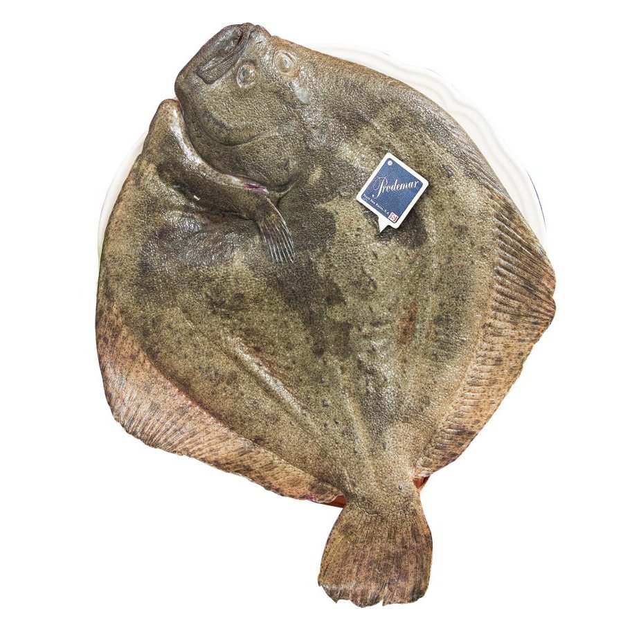 Rodaballo (2 a 2,5 kg) acuicultura kilo