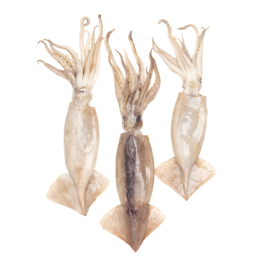 Pota de altura grande kilo