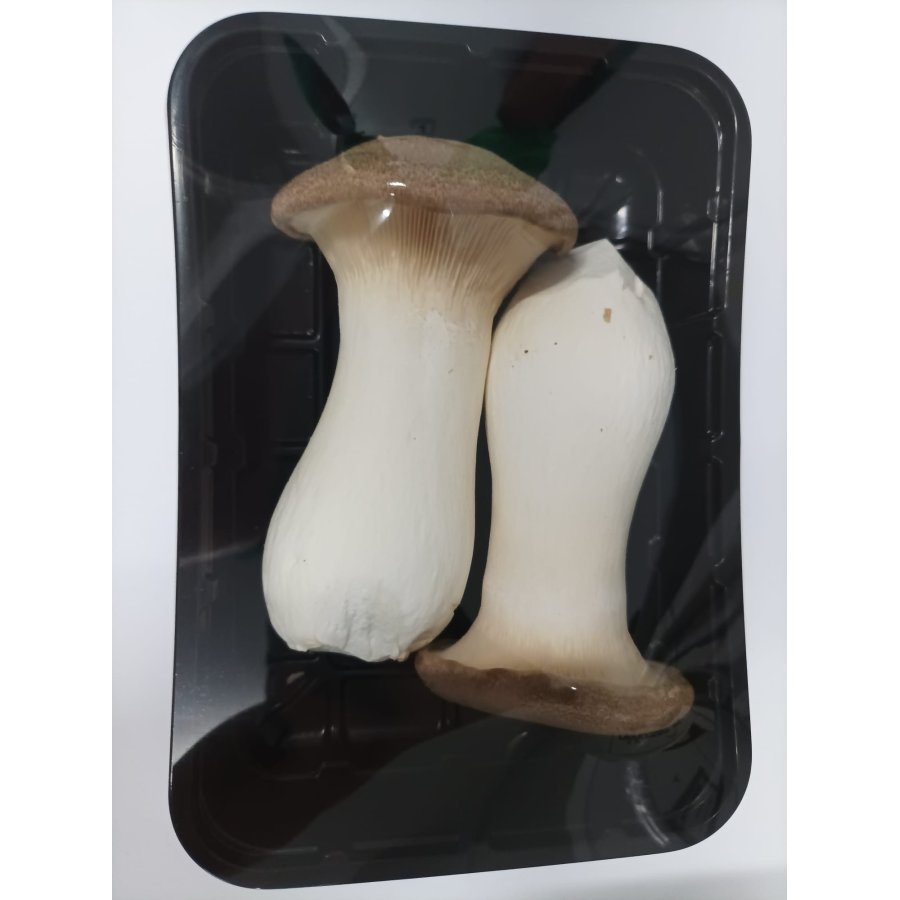 Seta cardo (eringgi)categoría 1ª bandeja 150 g