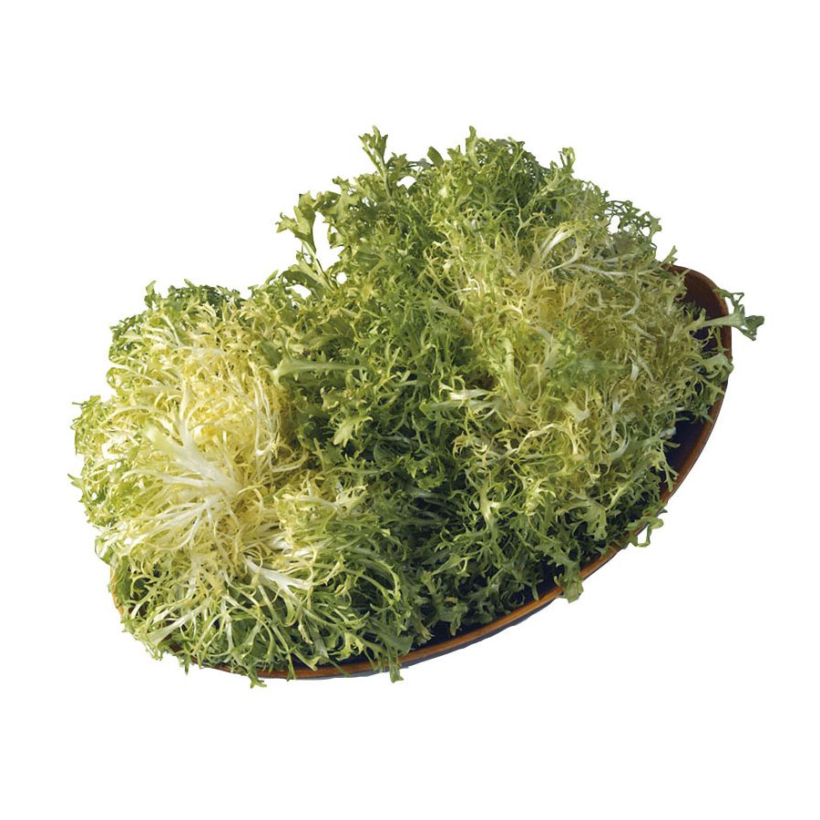 Escarola categoría 1ª (peso mínimo 400 g) unidad