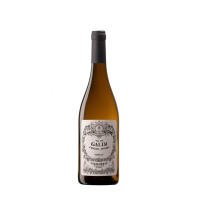 Vino blanco D.O.Valdeorras VAL DO GALIR godello botella 75 cl