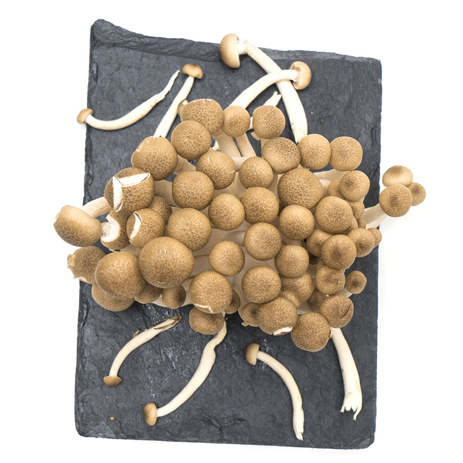 Setas Shimeji marrones bandeja 150 g