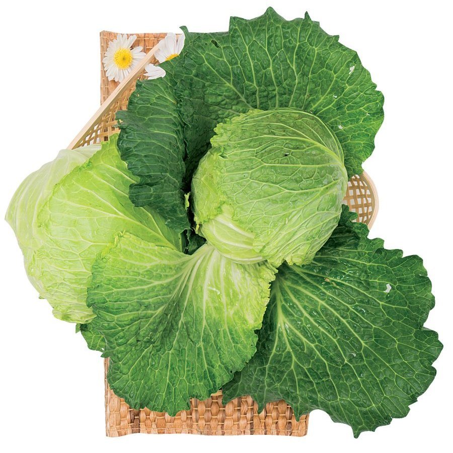 Repollo rizo entero categoría 1ª (p.min 1100g) kilo