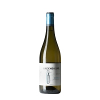 Viño branco D.O.Bierzo HACIENDA SAEL godello botella 75 cl