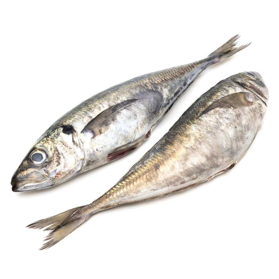 Jurel (200-400 g) kilo